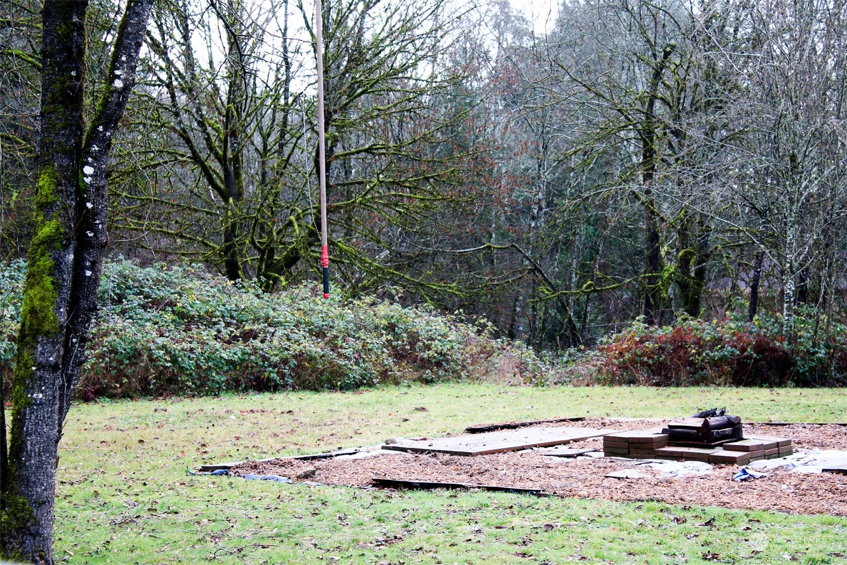 7608 Southwest Scatter View Lane Rochester, WA 98579 - Photo 21 of 23 a view of a park with large trees