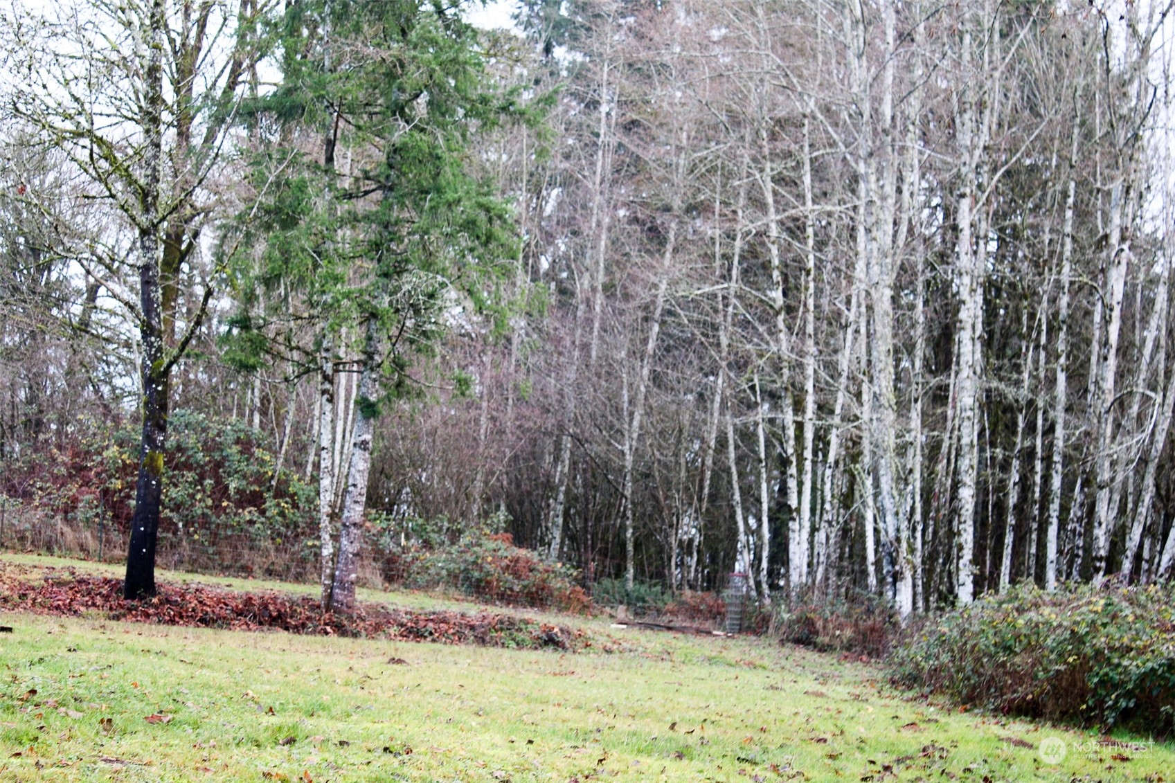 7608 Southwest Scatter View Lane Rochester, WA 98579 - Photo 22 of 23 a backyard of a house with trees