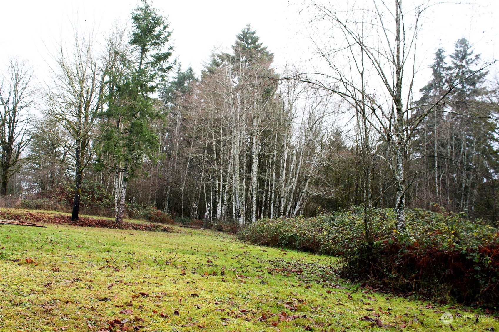 7608 Southwest Scatter View Lane Rochester, WA 98579 - Photo 23 of 23 a backyard of a house with lots of green space