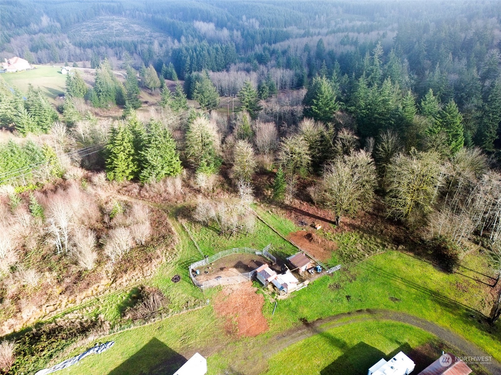 7608 Southwest Scatter View Lane Rochester, WA 98579 - Photo 6 of 23 a view of a yard with plants and large trees