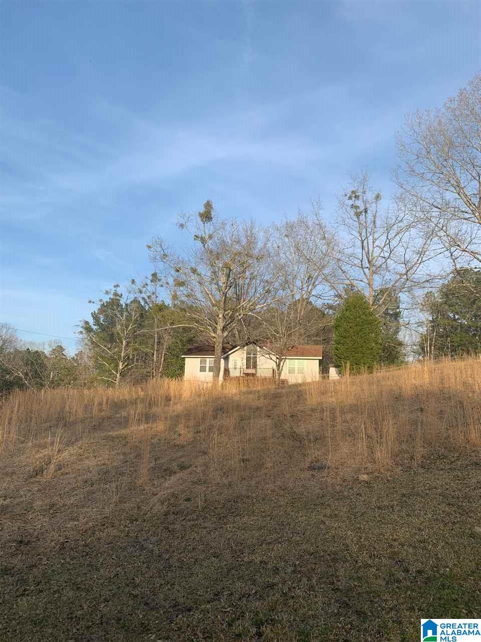 45 Haley Acres Vandiver, AL 35176 - Photo 7 of 13