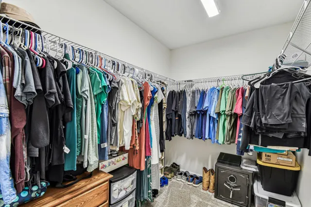 a room with a potted plant