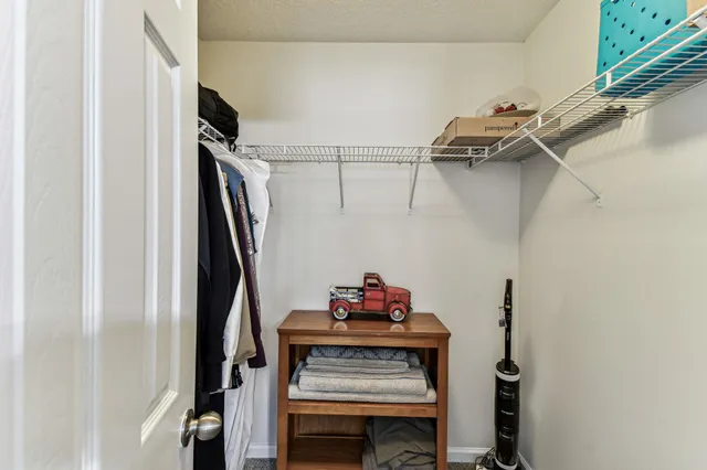 a view of backyard of house with green space