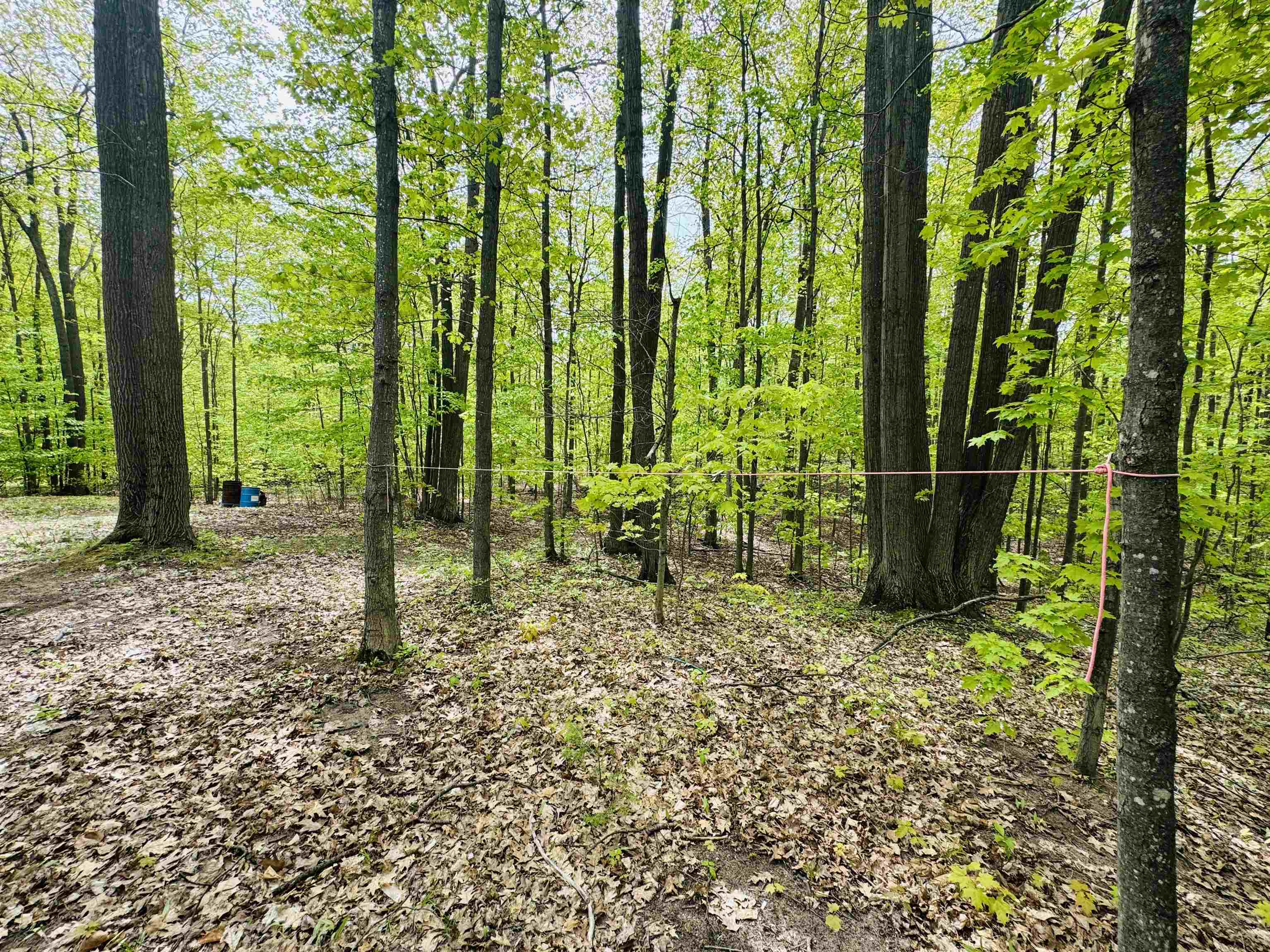 3395 West Edmonds Road Lake City, MI 49651 - Photo 38 of 47 Gallery Image 38