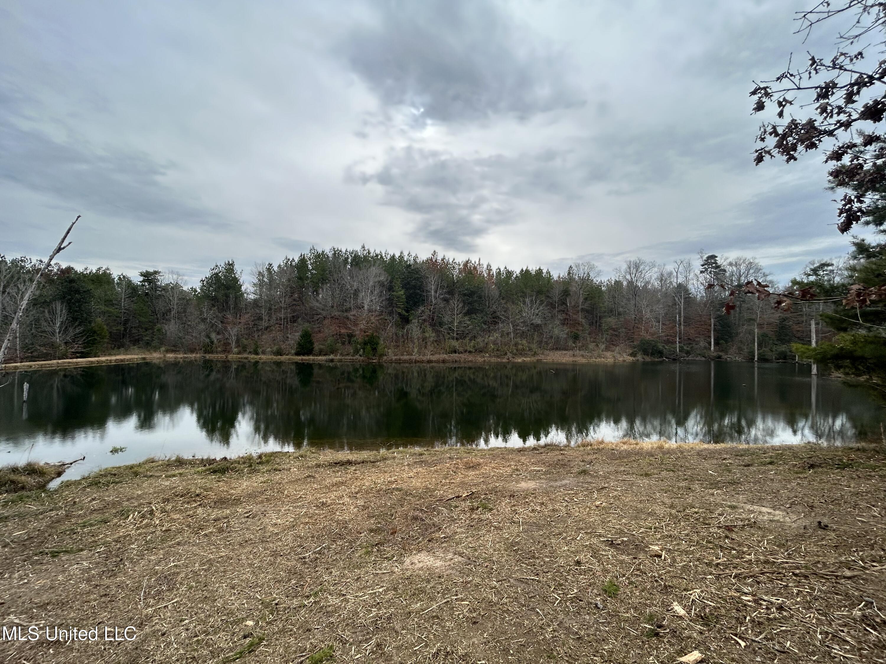 Lower Brookhaven Road Monticello, MS 39654 - Photo 1 of 9 Photo 1
