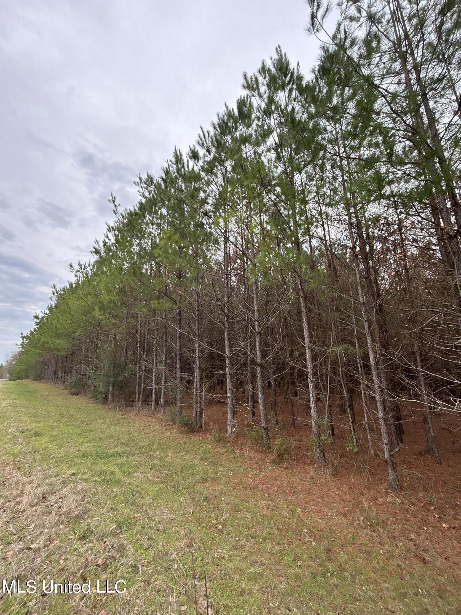 Lower Brookhaven Road Monticello, MS 39654 - Photo 2 of 9 Photo 2