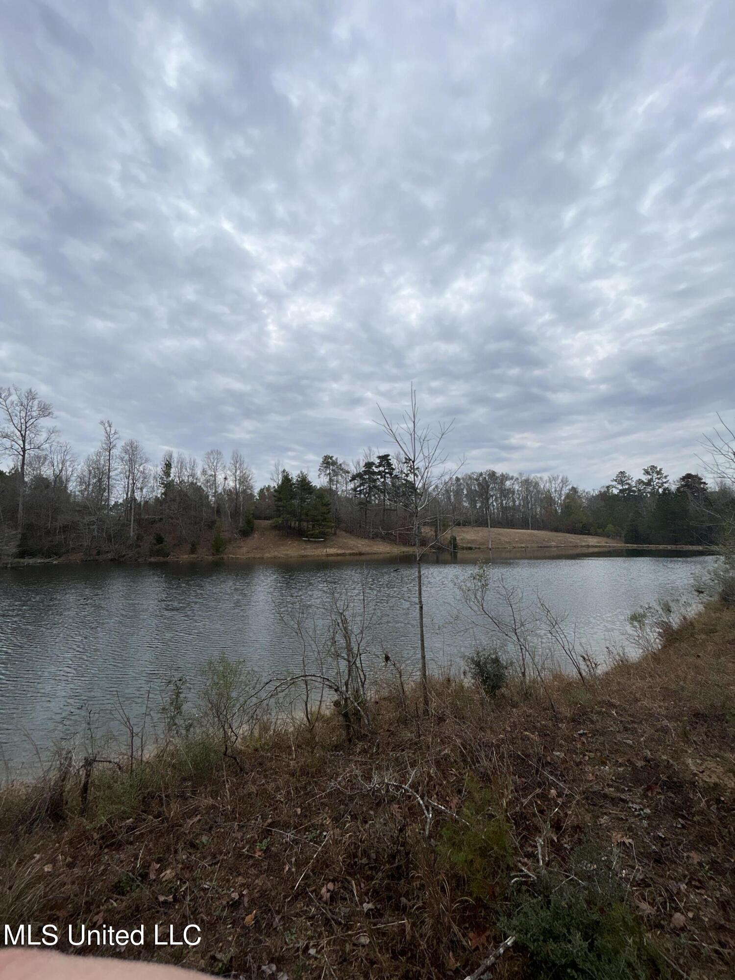 Lower Brookhaven Road Monticello, MS 39654 - Photo 6 of 9 Photo 6