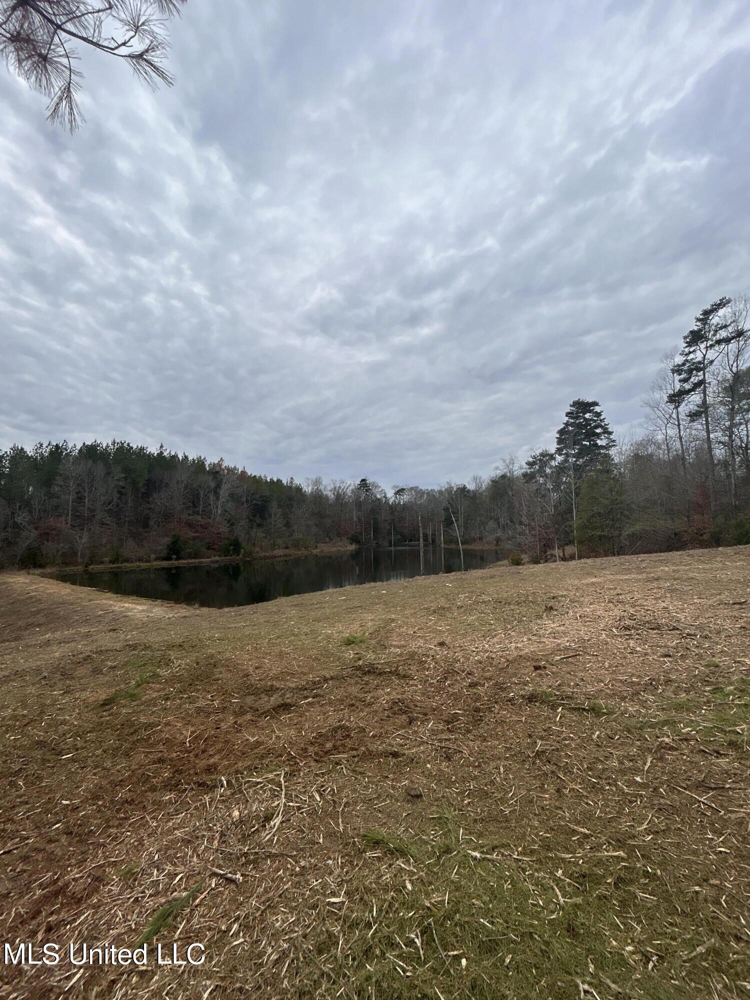 Lower Brookhaven Road Monticello, MS 39654 - Photo 7 of 9 Photo 7