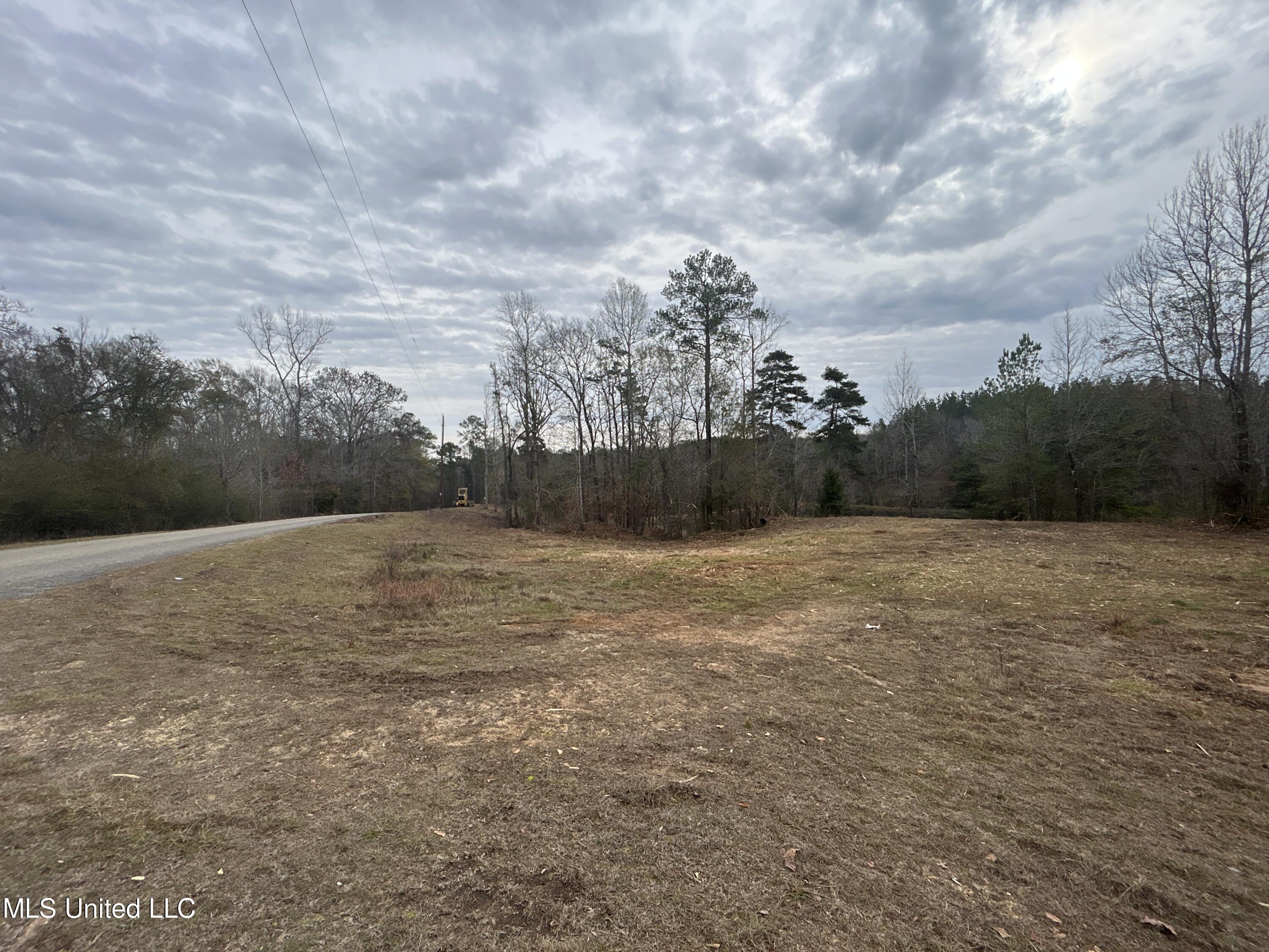 Lower Brookhaven Road Monticello, MS 39654 - Photo 8 of 9 Photo 8