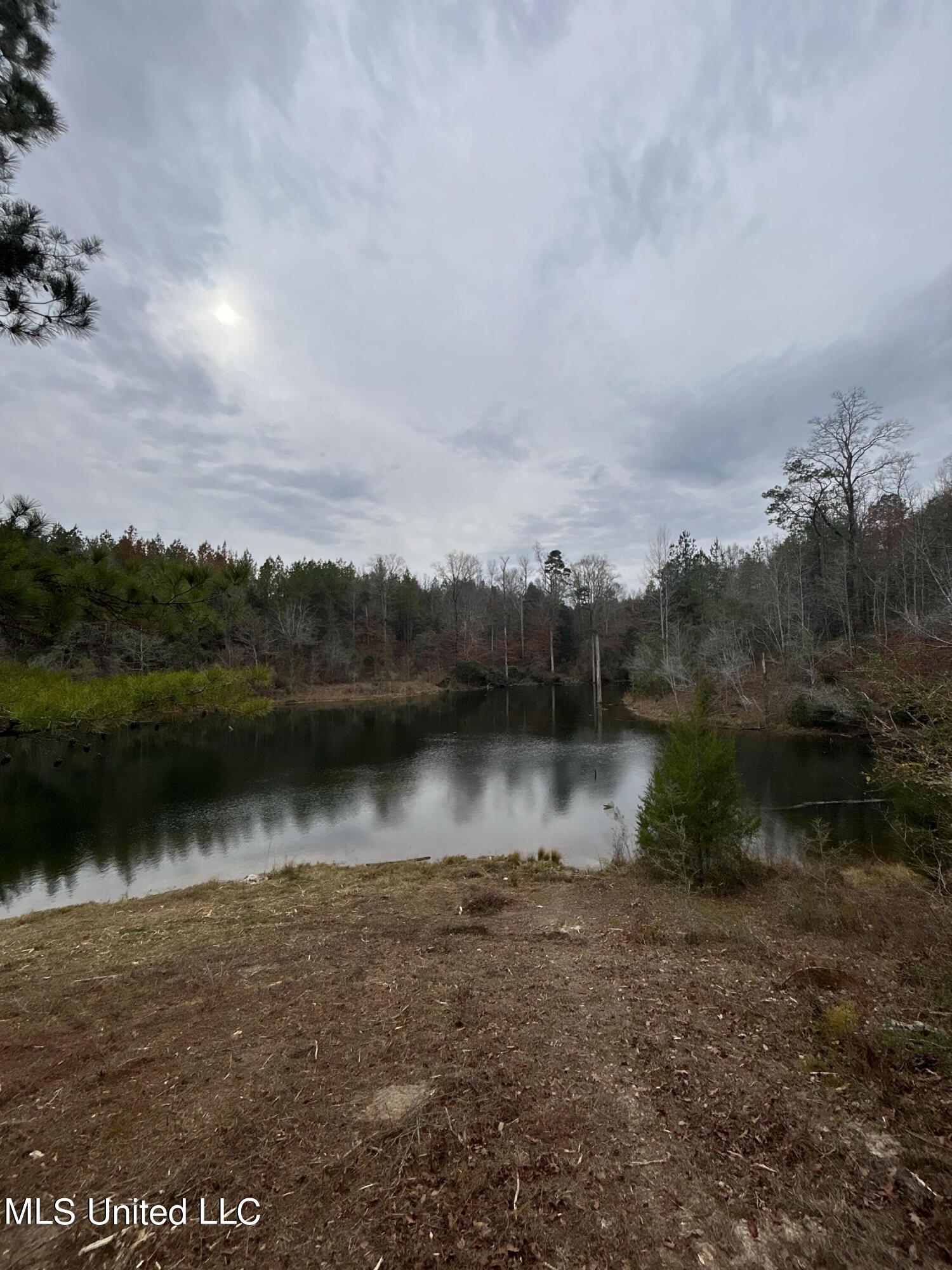 Lower Brookhaven Road Monticello, MS 39654 - Photo 9 of 9 Photo 9