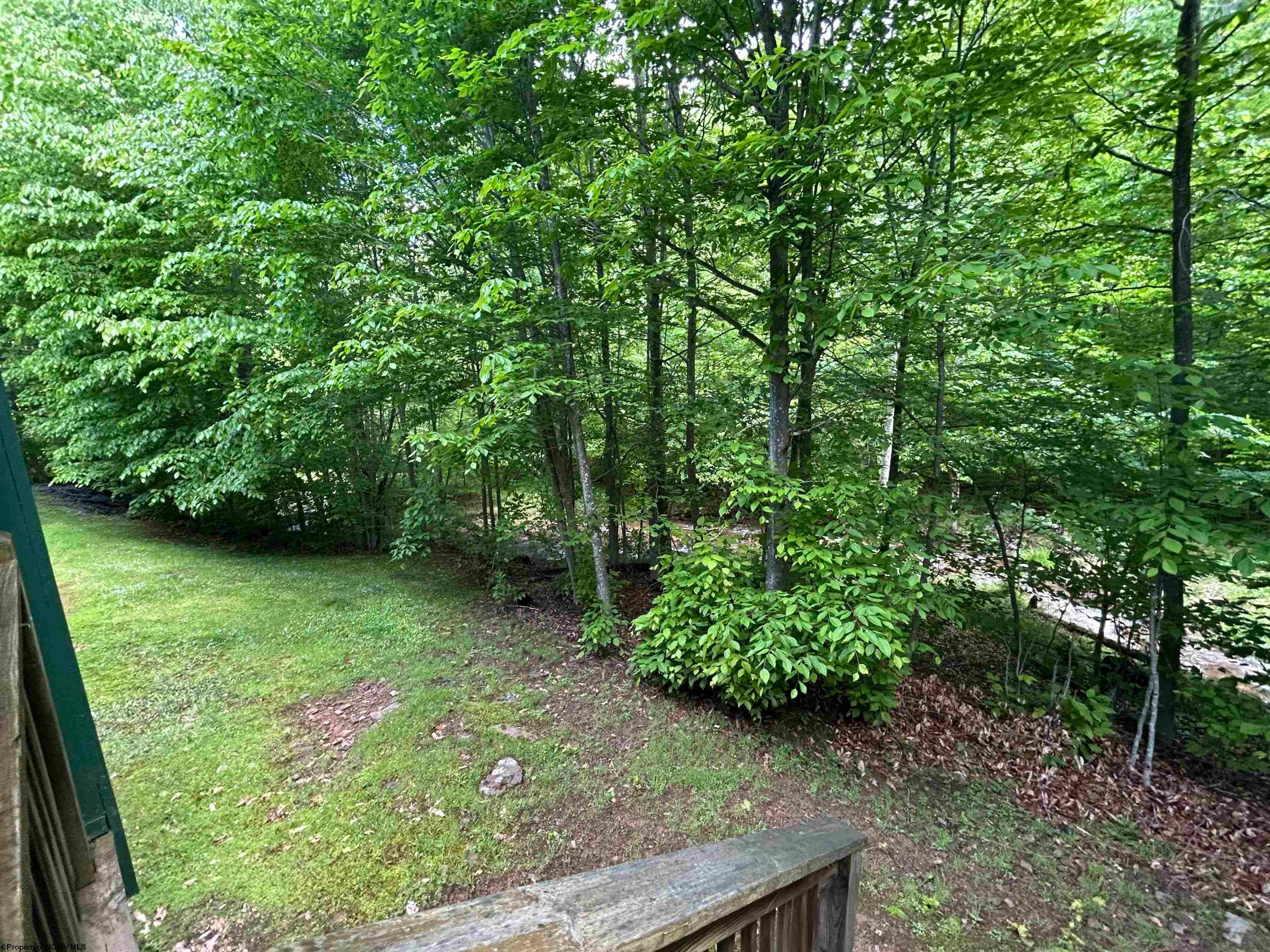 41 Snowflake Circle Davis, WV 26260 - Photo 17 of 17 Gallery Image 17