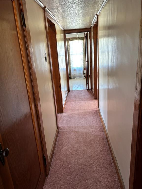 191 Jacksonville Road Homer City, PA 15748 - Photo 16 of 28 Gallery Image 16