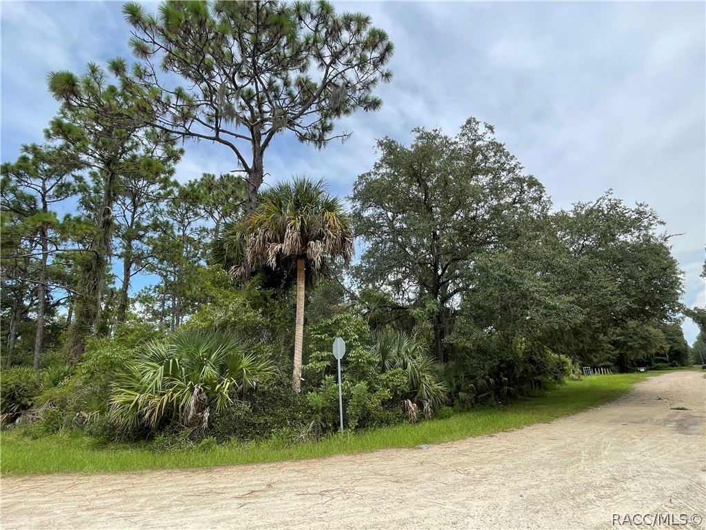 0 West Highway 40 West Inglis, FL 34449 - Photo 2 of 6