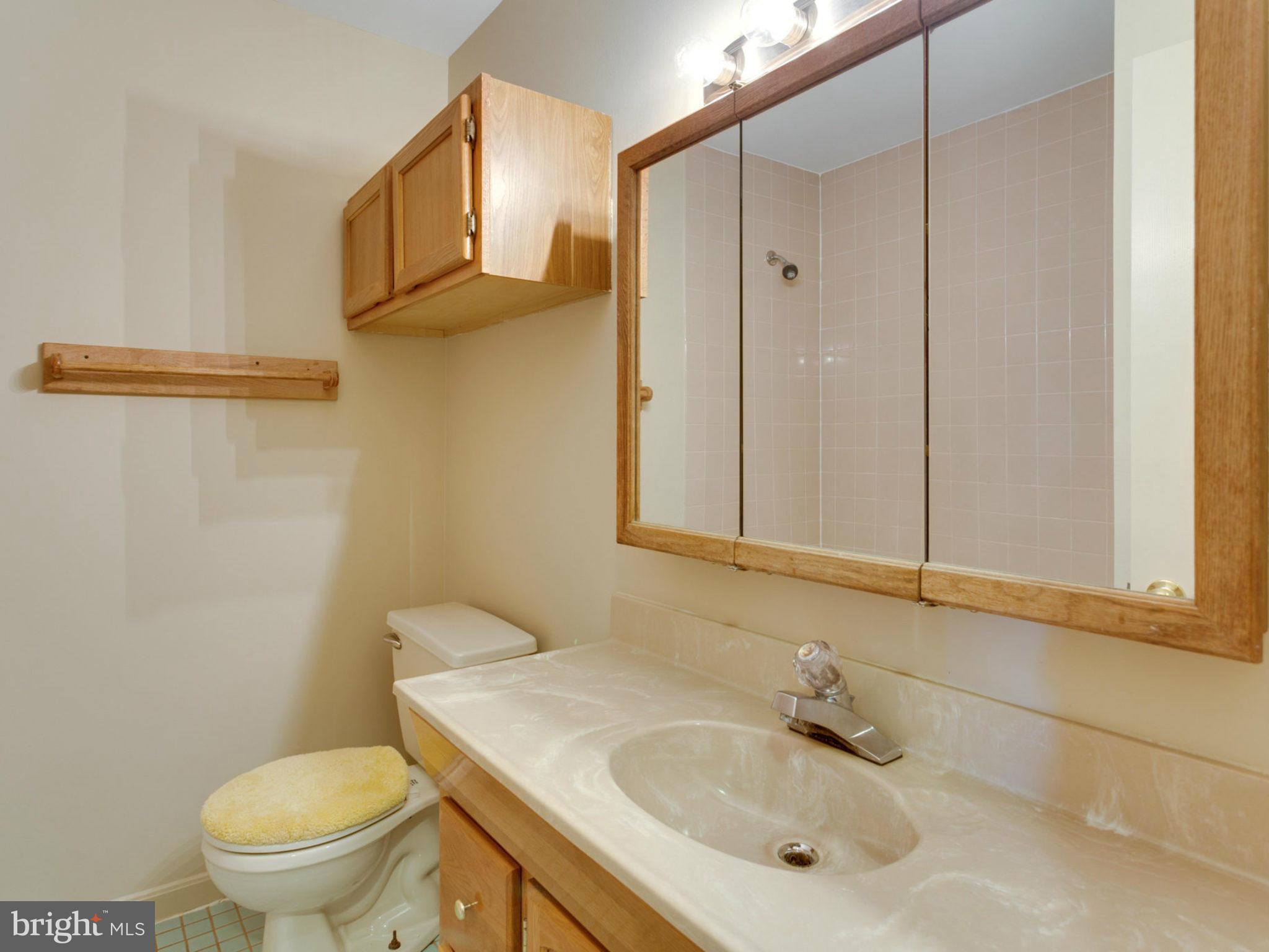415 Rockway Road Catonsville, MD 21228 - Photo 19 of 30 a bathroom with a sink a toilet and a mirror