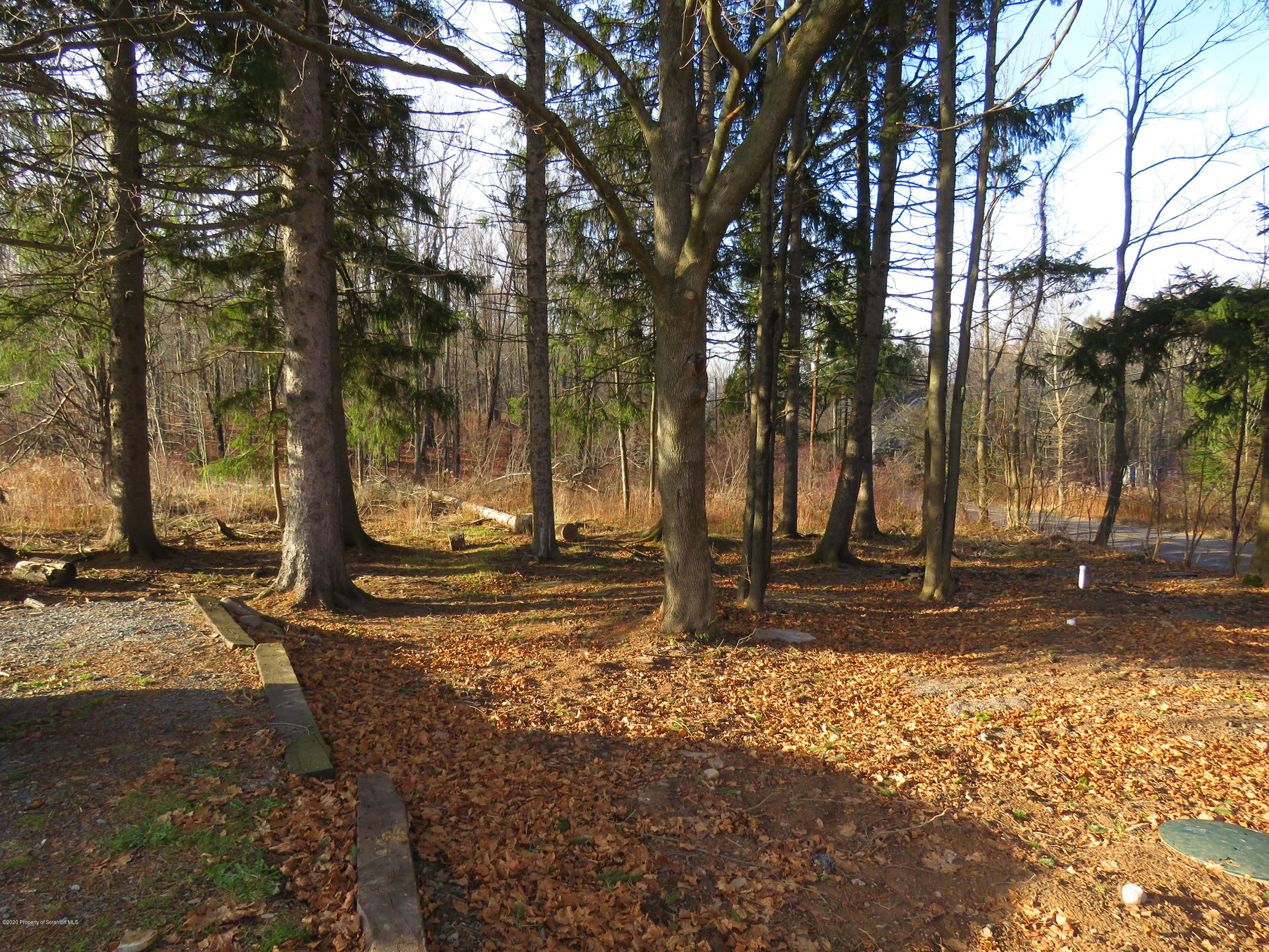 1635 Cortez Road Lake Ariel, PA 18436 - Photo 13 of 15 Rear Yard