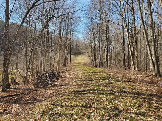 $94,900 | Lot 4-lot Goddards Rd Mount, Mount Vision, NY 13810
