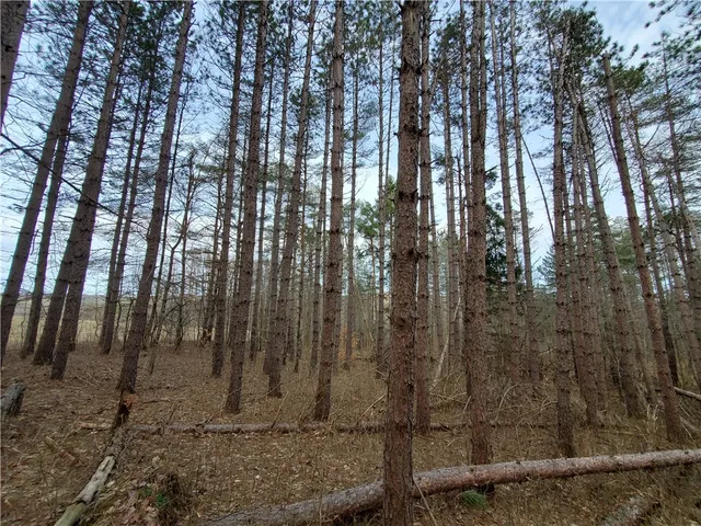 $94,900 | Lot 4-lot Goddards Rd Mount, Mount Vision, NY 13810