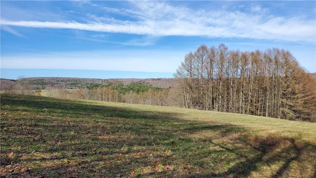 $94,900 | Lot 4-lot Goddards Rd Mount, Mount Vision, NY 13810