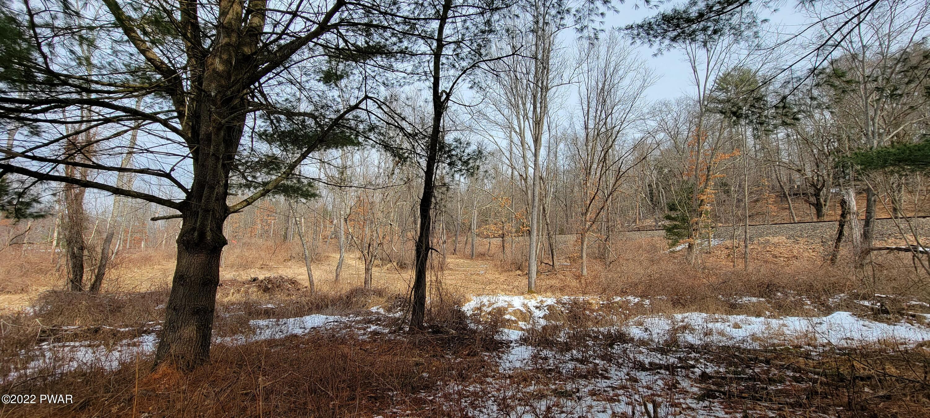 Lot 5.2 Humphrey Road Narrowsburg, NY 12764 - Photo 38 of 51
