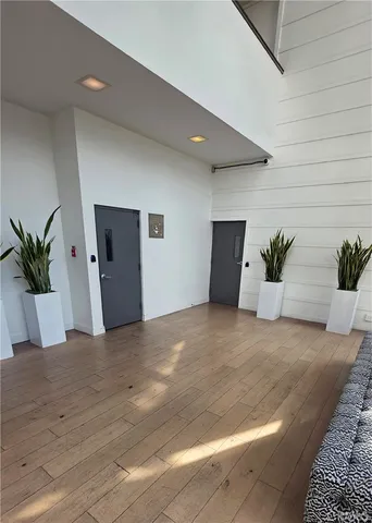 a view of a big room with potted plants