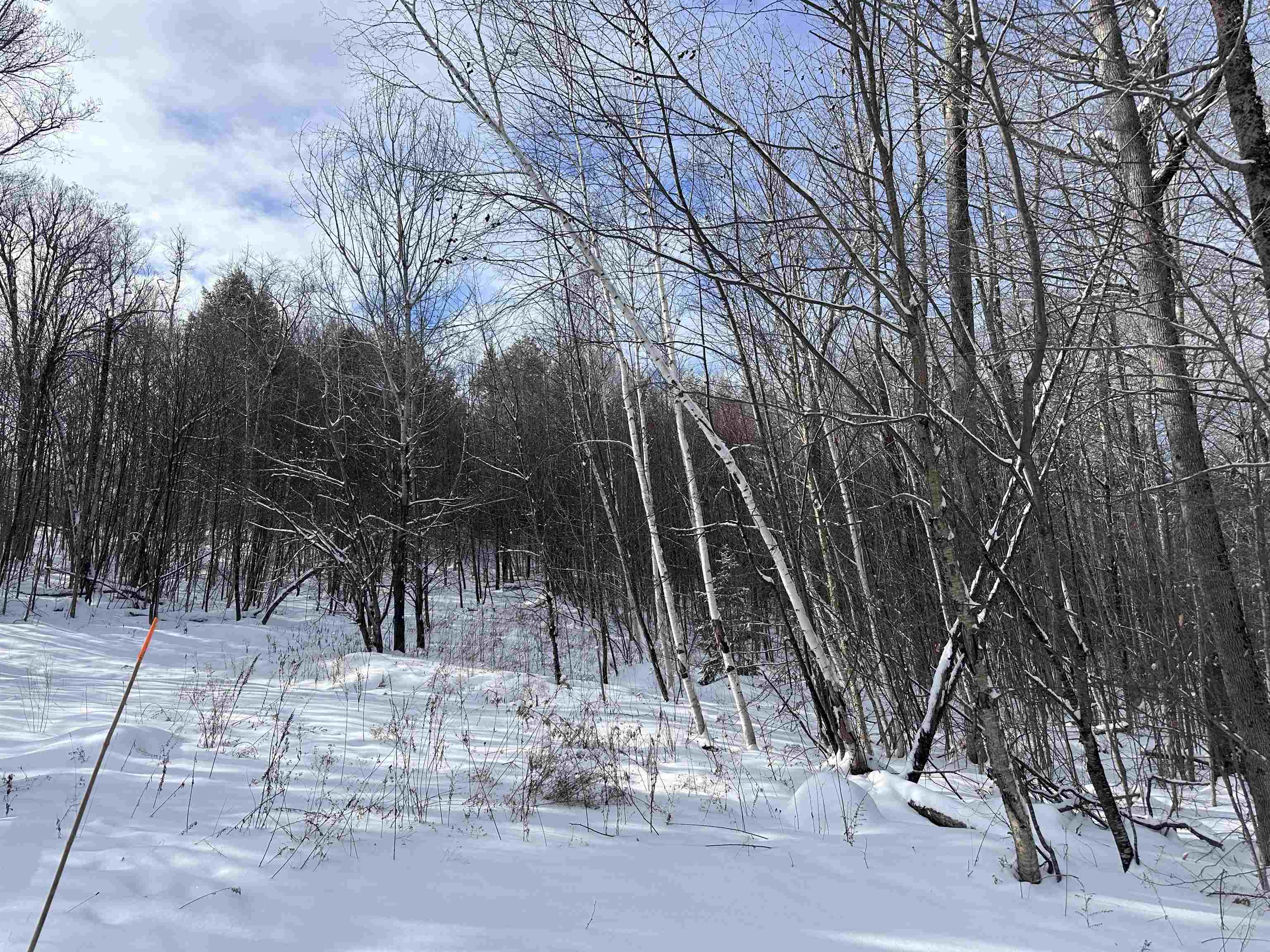 0 Stratton Gardens Road, Unit LOT #23 Winhall, VT 05340 - Photo 4 of 12