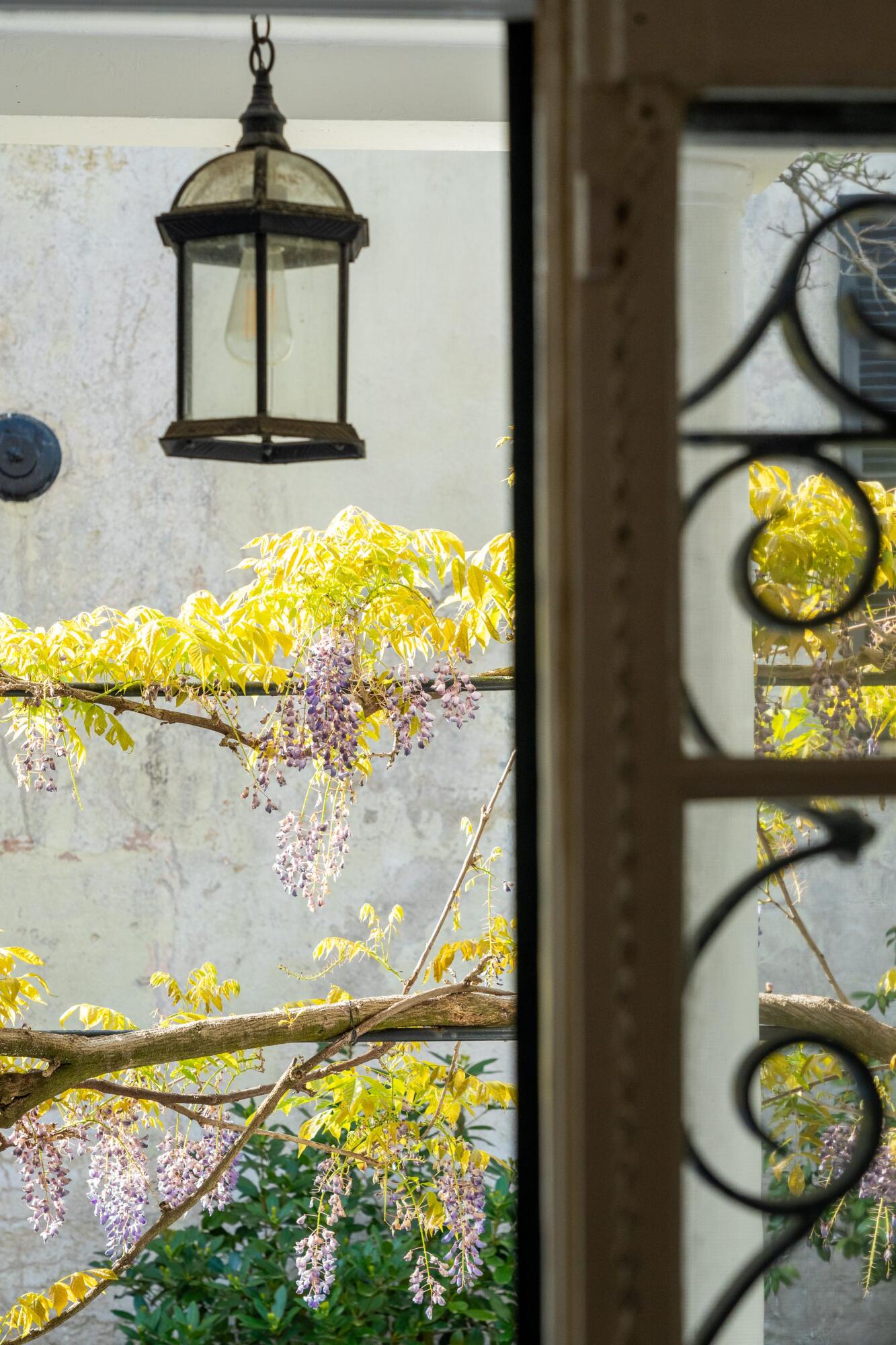 41 King Street Charleston, SC 29401 - Photo 51 of 56 51