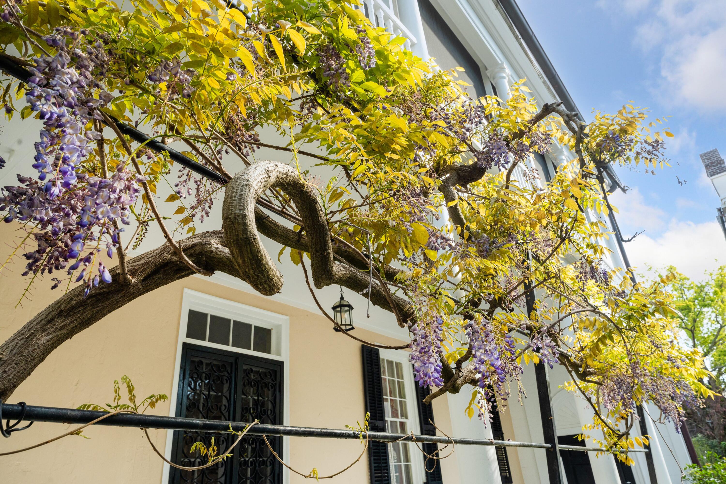 41 King Street Charleston, SC 29401 - Photo 6 of 56 6