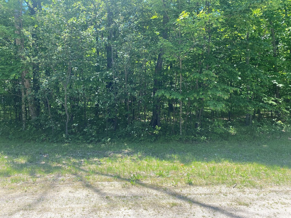 Lot 2 Stephens Way Egg Harbor, WI 54209 - Photo 3 of 5