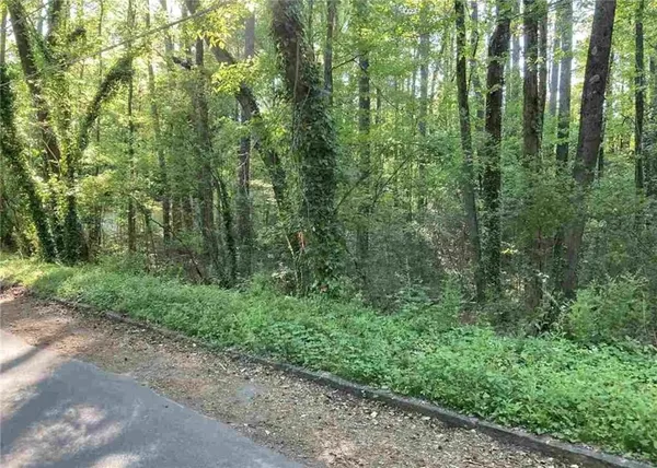 a view of a lush green forest