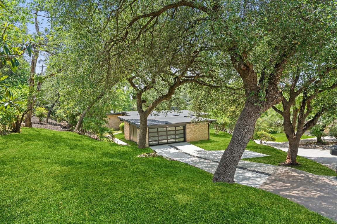 3403 Cascadera Drive Austin, TX 78731 - Photo 32 of 38 This home is a nature lovers dream home!