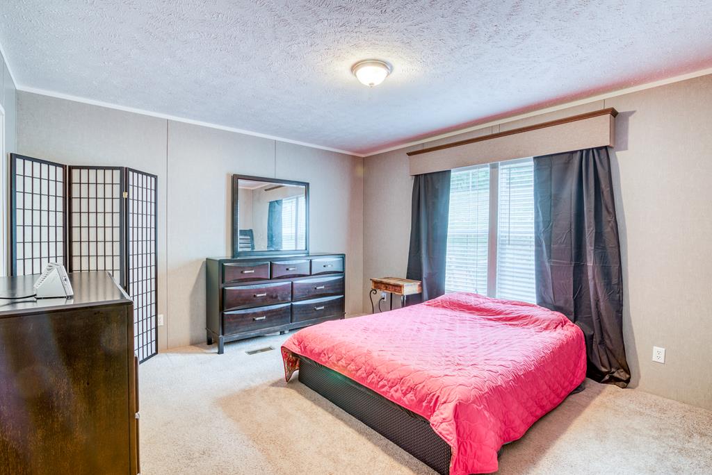 19082 Morrison Road Meadowview, VA 24361 - Photo 6 of 14 Gallery Image 6