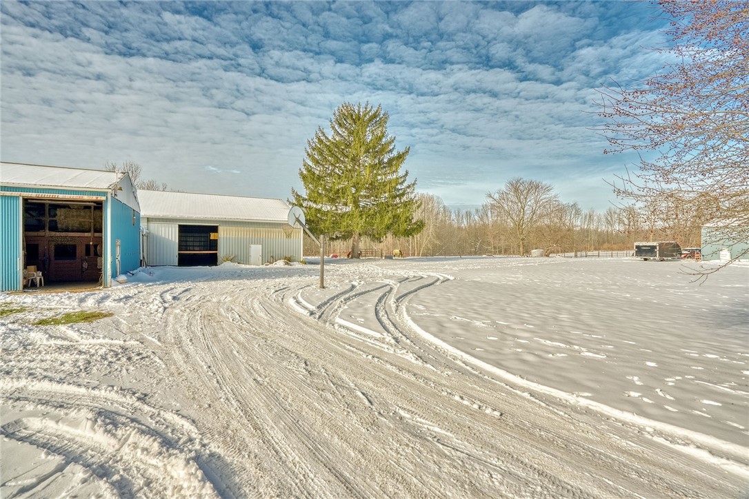 4231 Cauwels Road Arcadia, NY 14505 - Photo 33 of 48