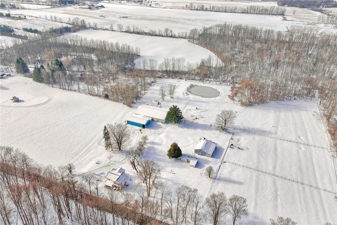 4231 Cauwels Road Arcadia, NY 14505 - Photo 46 of 48