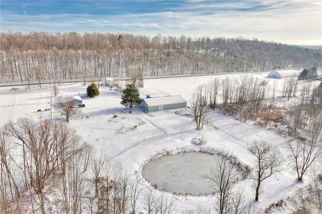 4231 Cauwels Road Arcadia, NY 14505 - Photo 48 of 48