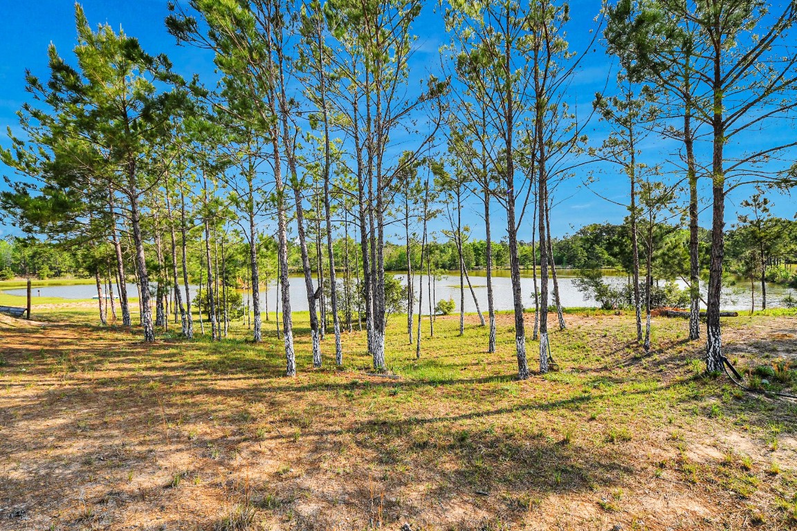 20065 Spring Hill Lane Porter, TX 77365 - Photo 2 of 44