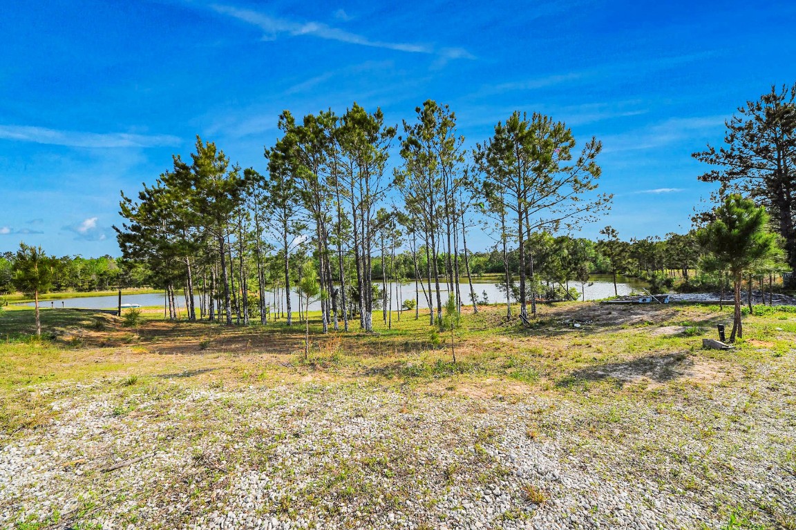 20065 Spring Hill Lane Porter, TX 77365 - Photo 34 of 44