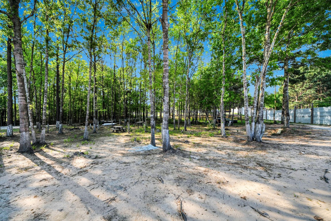 20065 Spring Hill Lane Porter, TX 77365 - Photo 36 of 44