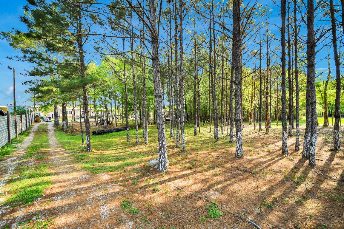 20065 Spring Hill Lane Porter, TX 77365 - Photo 38 of 44