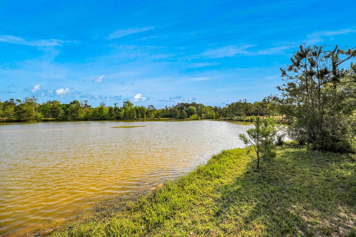 20065 Spring Hill Lane Porter, TX 77365 - Photo 44 of 44