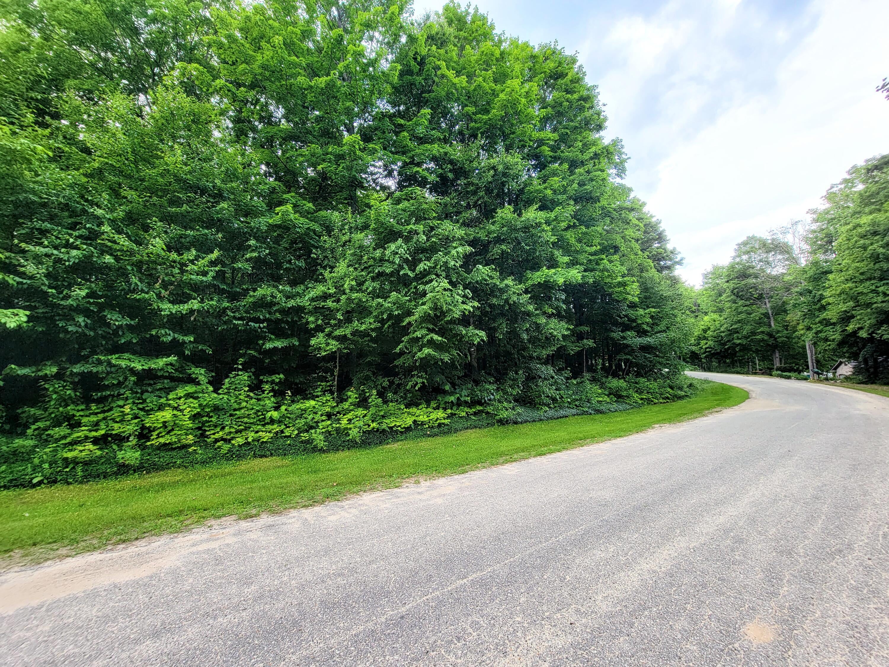 5845 North Ridge Road Gaylord, MI 49735 - Photo 5 of 10