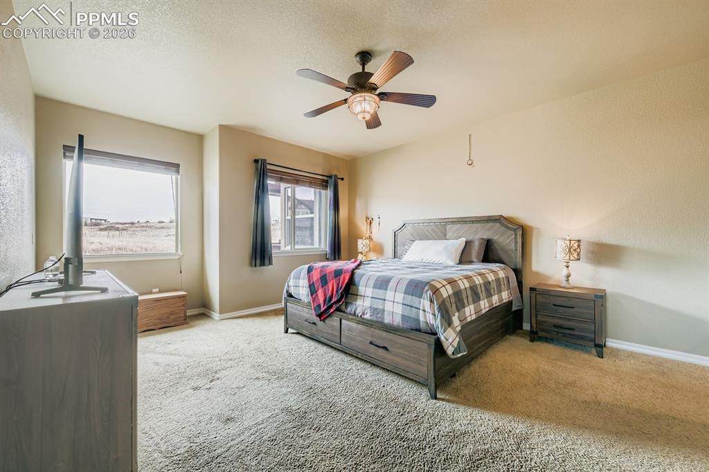 10625 Slumber Ridge Way Colorado Springs, CO 80908 - Photo 11 of 36 main level primary