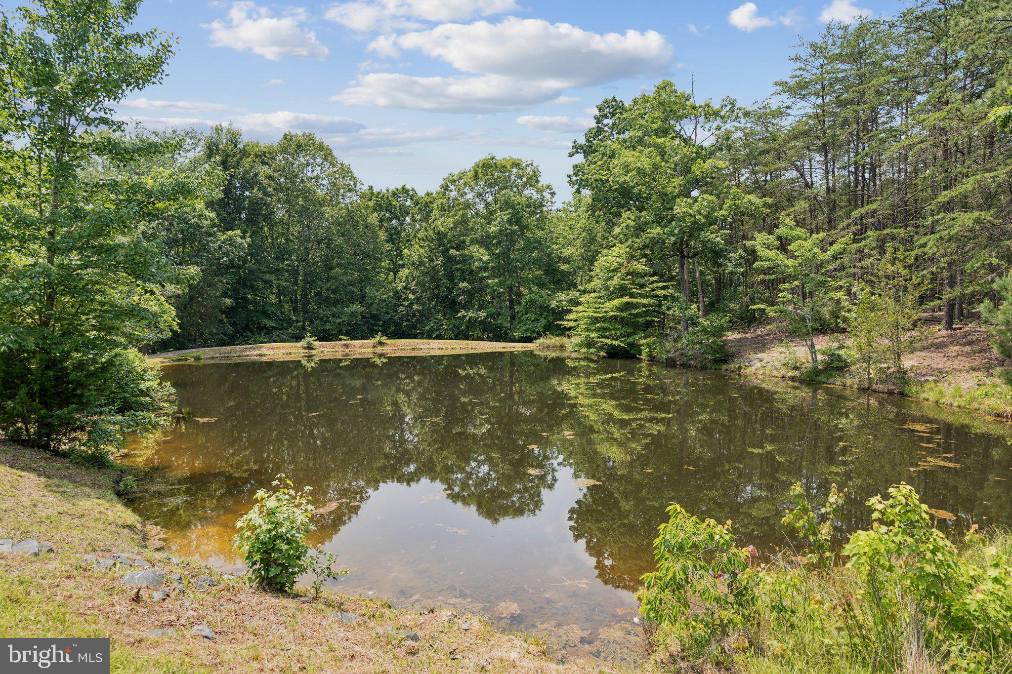 1039 Mountain View Road Fredericksburg, VA 22406 - Photo 38 of 49 Your own private spring-fed stocked pond!