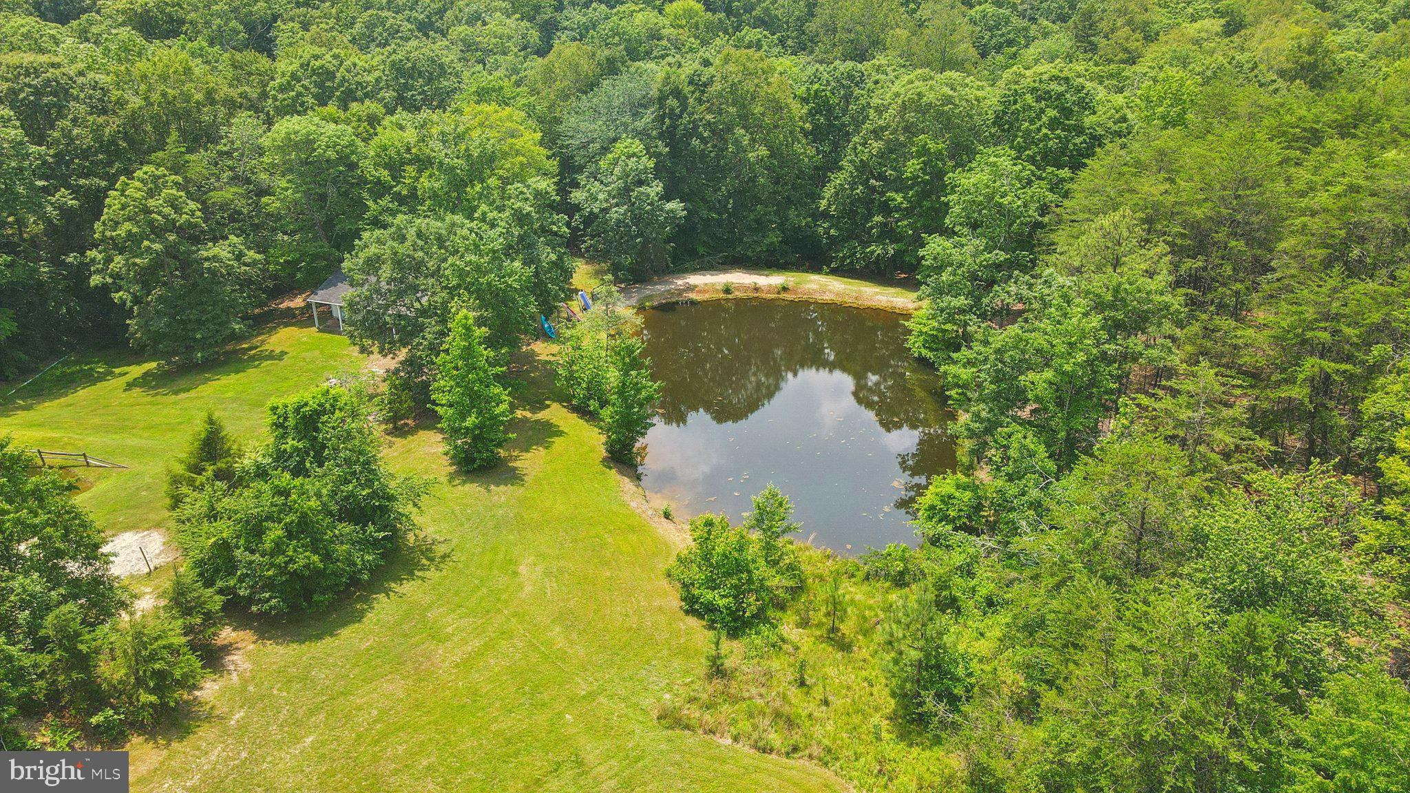 1039 Mountain View Road Fredericksburg, VA 22406 - Photo 6 of 49 Private spring-fed pond! Home to Bass & Bluegill!