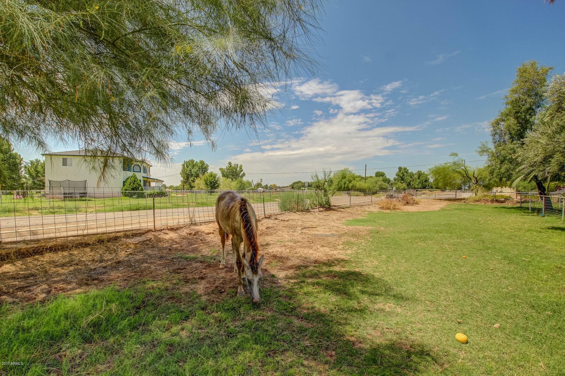21047 South 156th Street Gilbert, AZ 85298 - Photo 39 of 53 156th (44)