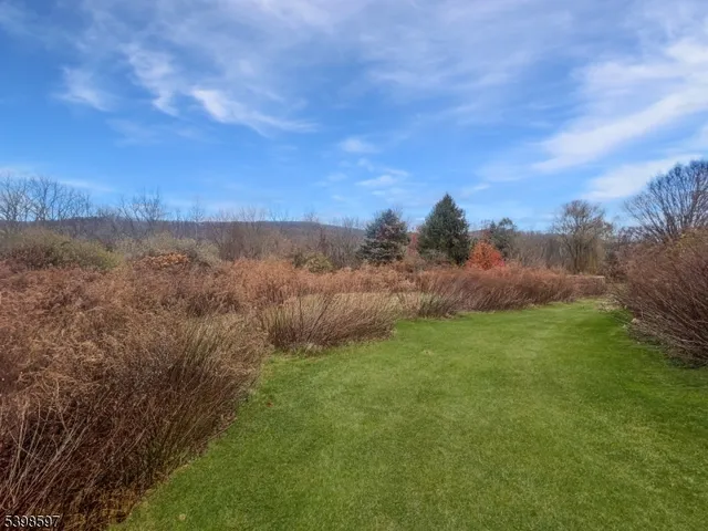 a view of a lush green outdoor space with a lake view