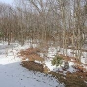 83 Hackett Hill Road Manchester, NH 03102 - Photo 32 of 33