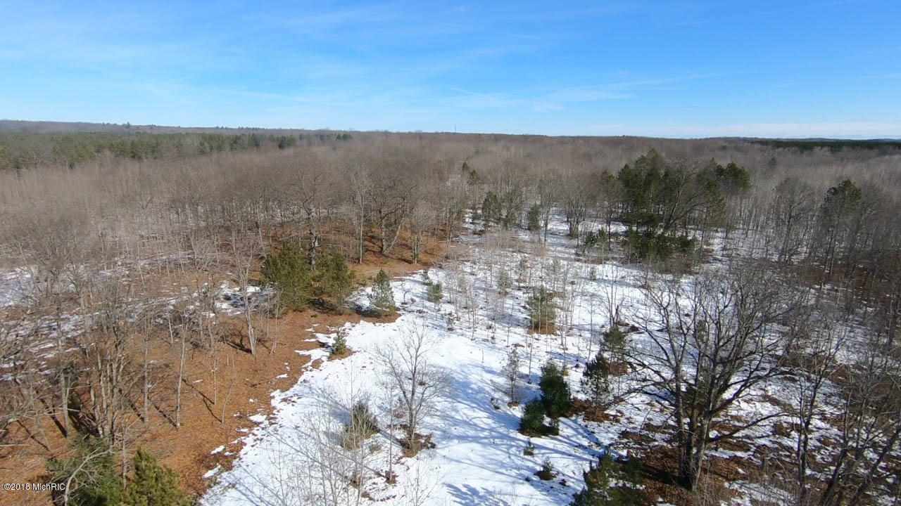 37 1/2 37 1/2 Road Manton, MI 49663 - Photo 27 of 27