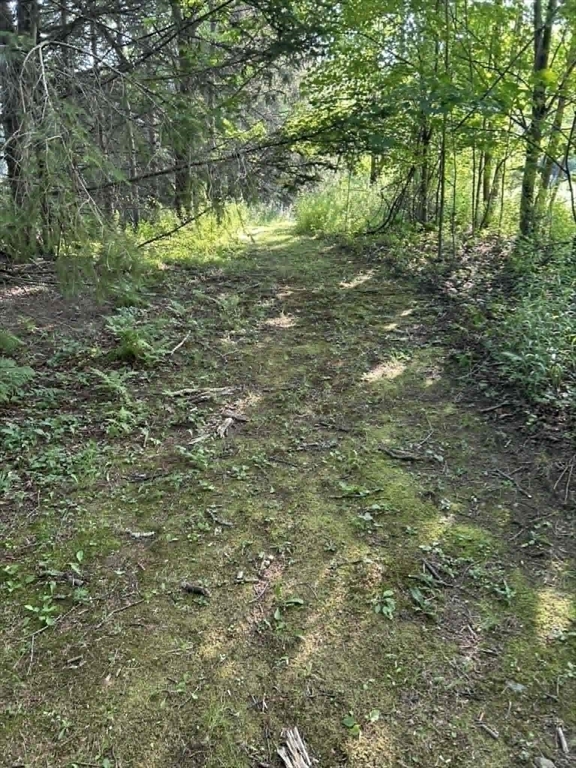 295 Old Post Road Worthington, MA 01098 - Photo 17 of 22
