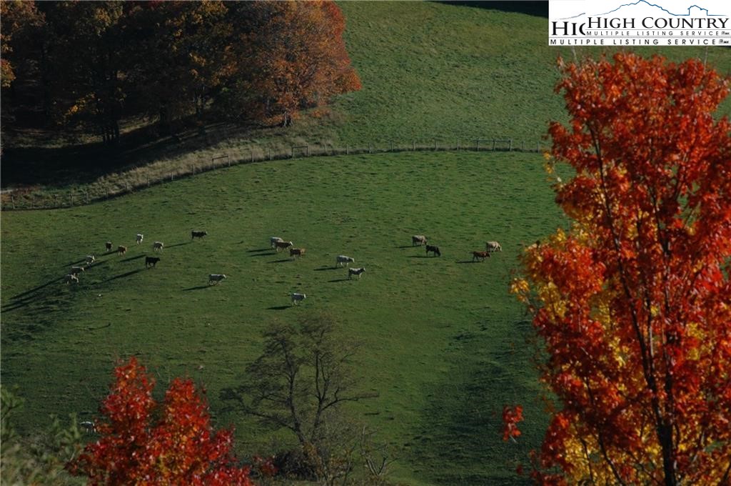 41 Ridgewood Road Sparta, NC 28675 - Photo 7 of 11