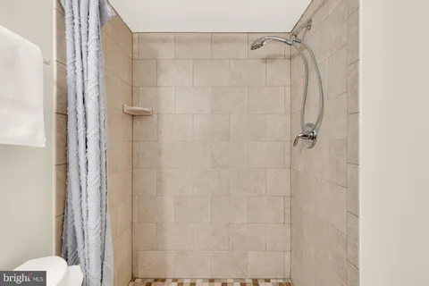 a bathroom with a shower and a toilet